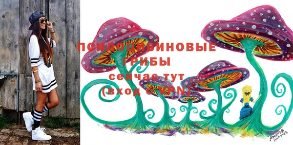 стаф Абинск