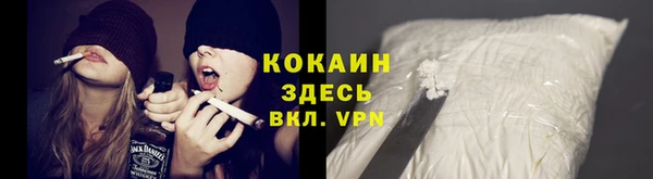 стаф Абинск