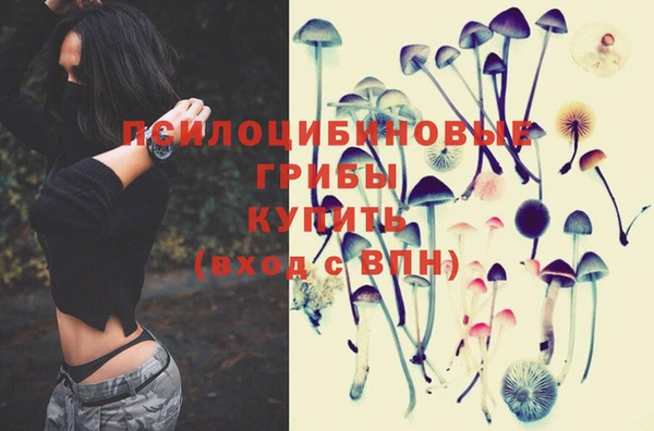 кокс Абдулино