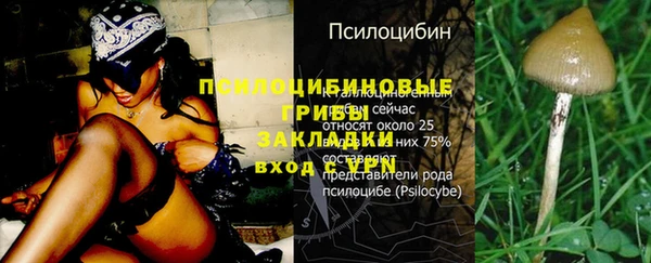 кокс Абдулино