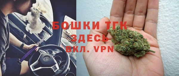 стаф Абинск