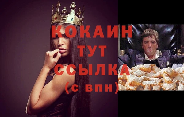 стаф Абинск