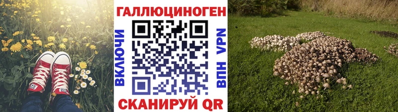 Галлюциногенные грибы Cubensis  закладка  площадка формула  Ленинградская 